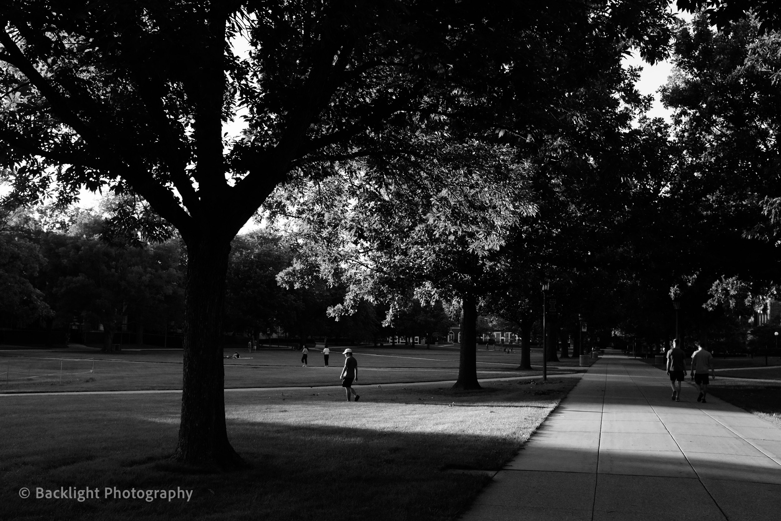 Walkaround in B&W gallery preview